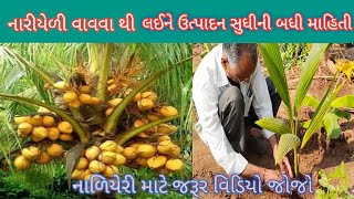 નારીયેળી ક્યારે વાવવી કેવી રીતના  વાવવી એના વિશે બધી માહિતી. #trending #farmer #coconut #gujarat