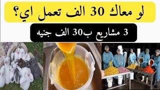 لو معاك 30 الف جنيه تعمل اي ؟ 3 افكار مشاريع ب30 الف جنيه من البيت مكسب بيوصل50%