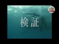 【美しく危険なサメの捕食】ブルーシャークはエサに食いつく直前に「目をつむる」【どうぶつ奇想天外／wakuwaku】