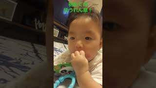 生後180日！初めてのほうれん草の離乳食！🥬#赤ちゃん#乳幼児#離乳食#ほうれん草