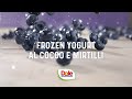 Frozen yogurt al cocco e mirtilli