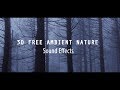 30 FREE Ambient Nature Sounds Effect | Cinematic Sounds Effects