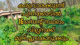 കരുവാരകുണ്ട് പുന്നക്കാടിൽ 16 സെന്റ് സ്ഥലം വില്പനക്ക്..#karuvarakundu