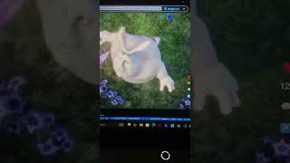 TikTok App Home Page Using JavaScript | Full UI Clone with HTML CSS JS
