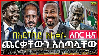 Ethiopia: ጨርቃቸውን አስጣሏቸው | በአደባባይ አለቀሱ | ጠቅላይ ሚኒስትሩ ለአፍሪካ መሪዎች መልስ ሰጡ | የጦር መኮንኖቹ ወደጦር ሰፈሩ ደርሰዋል