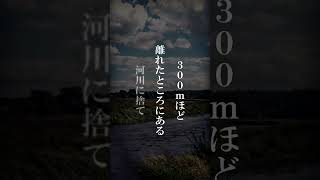 母親が娘を虐待した事件 後編【滋賀県母親事件】#事件 #ミステリー #怖い話 #ホラー #サイコパス #shorts