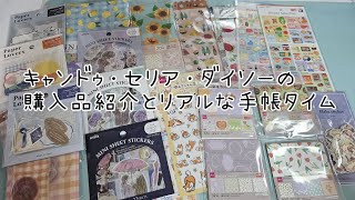 またまた新作です‼️小さいデザインペーパーの収納の紹介もしてます❣️雑談しながらの購入品日記もしてます。ASMR。#手帳 #作業動画 #ほぼ日手帳 #パラパラ #シール #購入品紹介 #折り紙収納