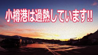 【北海道石狩湾・小樽釣り】小樽港は過熱気味で場所が無い!!　（ホッケ・クロガシラ・メバル・クリガニ・夜釣り）