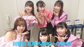 【川音希 \u0026 ROSARIO＋CROSS】「Lips 〜踊れ恋心〜」コラボステージ（19.5.25）