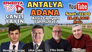 19.02.2025 Çarşamba Şanlıurfa ve İstanbul Altılı Ganyan Tahminleri