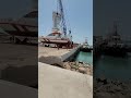 boat docking 2022 shorts