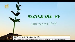 ችግኞችን ስንተክል መደረግ ስላልበት ጥንቃቄ የተሰጠ ማብራሪያ