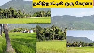 தமிழ்நாட்டில் ஒரு கேரளா?