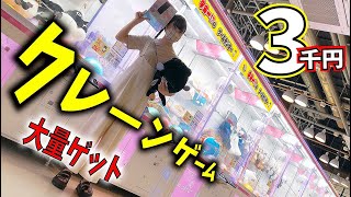 クレーンゲーム大量ゲット！3000円チャレンジ【のえのん番組】