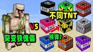 我的世界：突变铁傀儡VS不同材质的TNT，哪个威力更大？【Minecraft】