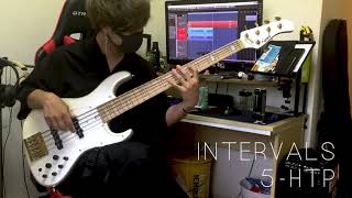 INTERVALS  | 5 HTP 【Bass Cover】