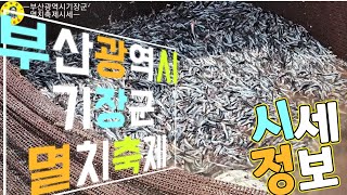 祝祭 부산기장멸치축제 멸치시세, 멸치털기, 품바 견문록♡삶1852/Busan Gijang anchovy festival, korea