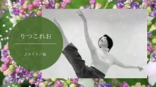 【踊ってみた】カイト／嵐