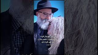 یار مهربان اثر  محمدپیرحیاتی @maryam.tehraniمریم تهرانی mohammadpirhayti