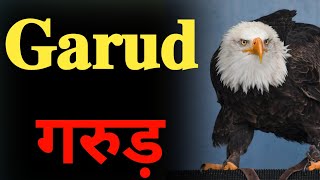 गरुड़ 𝐑𝐞𝐥𝐚𝐭𝐞𝐝 𝐅𝐚𝐜𝐭 𝐢𝐧 𝐡𝐢𝐧𝐝𝐢|| 𝐆𝐚𝐫𝐮𝐝 𝐏𝐮𝐫𝐚𝐧||#𝐠𝐚𝐫𝐮𝐝#𝐟𝐚𝐜𝐭#𝐬𝐡𝐨𝐫𝐭