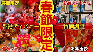 【期間限定!!】香港ディズニーの最新グッズ物価調査🔍