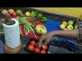 wash fruits u0026 vegetables to remove pesticides പച്ചക്കറികളും പഴങ്ങളും കഴുകാം home unfiltered