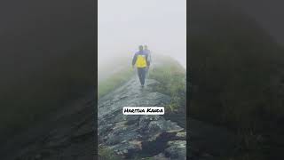 Haritha Kanda | Green Mountain | Travel With Ayale #shorts  #youtubeshorts