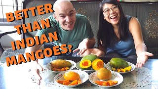 Indonesian Mango Feast! Foreigner Tries 5 Different Types of Mangoes