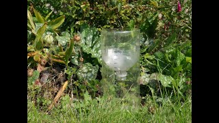 How to make a rain gauge