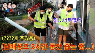 맨날 싸우는 친구끼리 안 싸우고 길거리에 있는 담배 꽁초 주워서 1kg 채우기ㅋㅋㅋㅋㅋ