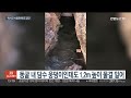 규모 7.6 강진 사흘 만에…멕시코에 6.8 지진 또 발생 연합뉴스tv yonhapnewstv