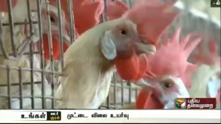 Egg price increases to Rs 3.70 in Namakkal