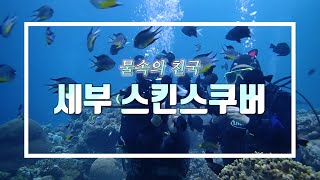 신비한 바닷속을 탐험하러 떠나자 스킨스쿠버