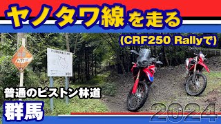 【ツーリング】CRF250Rallyでヤノタワ線 2024【林道】