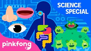 Hospital Play and more | +Compilation | Science Songs Special | Pinkfong Songs for Children