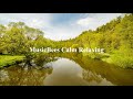 Mind Stream  Chris Haugen Relaxing Calm Meditation Ambient Soothing Deep Sleep Music For Your Soul