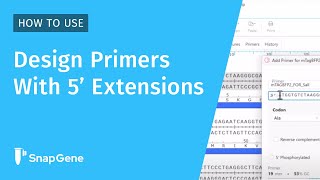 How to Design Primers with 5' Extensions in SnapGene