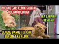 Subhan Allah Kucing Persia Di Buang Seneng Banget Di Bawa Ke Dokter..!