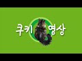 레진공방 vlog .눈물겨웠던 24년🥹. 25년엔 좋은 일만 가득하기를 제발 🍀