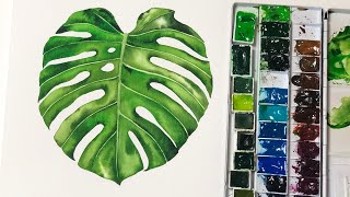 수채화로 몬스테라 그리기 /쉽게 그리는 몬스테라 / 식물그림 /How to watercolor monstera