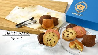 シャトロワ（CHATROIS）猫づくしのかわいい詰め合わせ！フィナンシェと焼き菓子のセット　子猫たちのお茶会 （サマー）の商品をご紹介