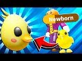 How To Get Adopt Me, Chick! Egg In Adopt Me Roblox Easter Egg Hunt 2020