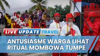 Menilik Ritual Mombowa Tumpe, Ritual Tahunan Membawa Telur Burung Maleo Pertama di Kecamatan Batui