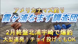 2024年北浦宇崎で爆釣の巻き魔王アメリカナマズもガンガン出没！60㎝クラスが入れ食い！護岸も釣りやすく子供が投げるチョイ投げでも大型が狙えます＾＾峠のクマタコから車で3分行ってみよう