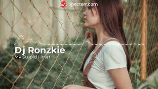 My Stupid Heart - feat. Dj Ronzkie Music Records | Tropical House Remix 2023