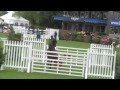 queros de bioagrico csio hickstead gp