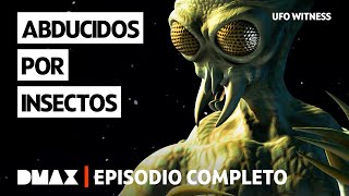 Informes sobre alienígenas con forma de insecto | Episodio 2 completo | UFO Witness