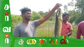 village fish cooking in traditional சுவையான கிராமத்து மீன் குழம்பு  Fish recipe | Fish recipe