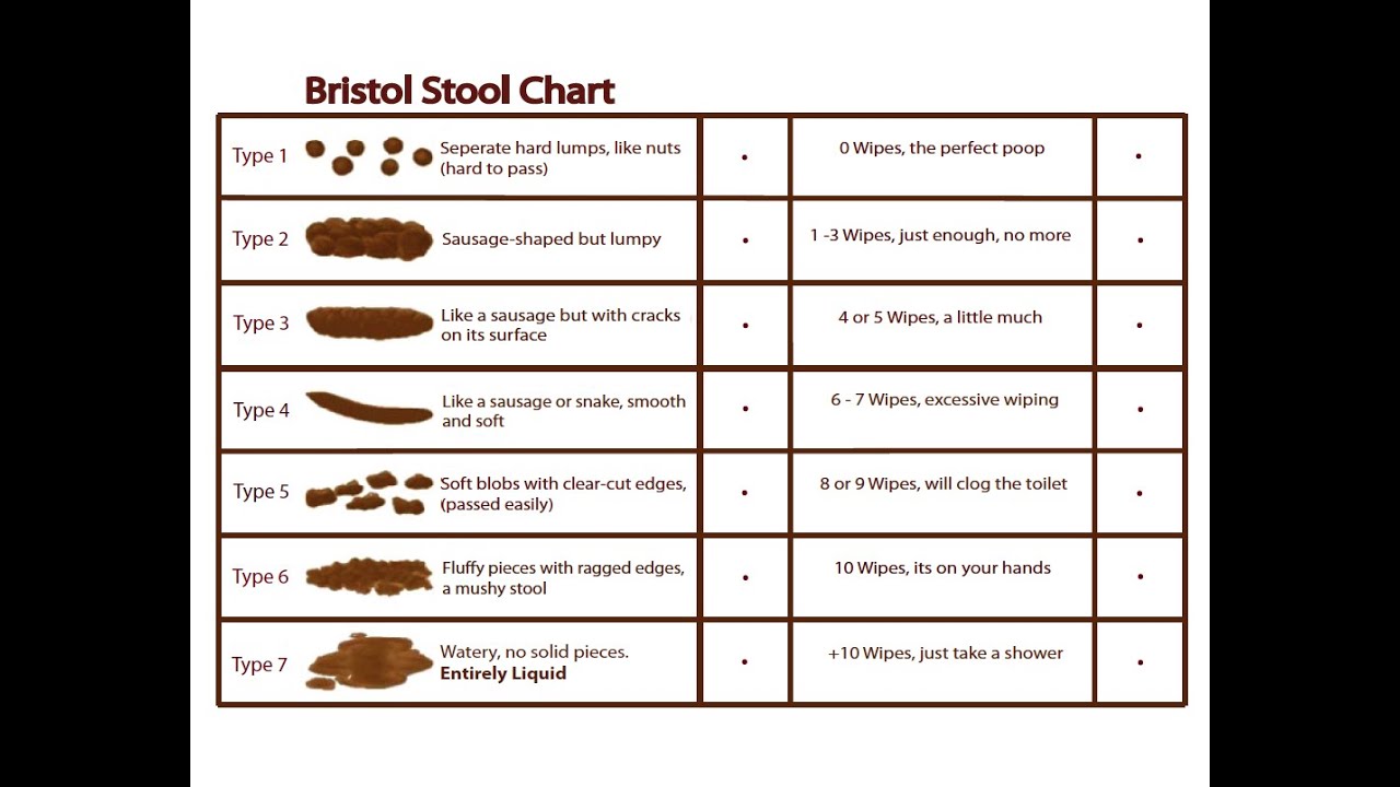 Bristol Stool Chart Meaning