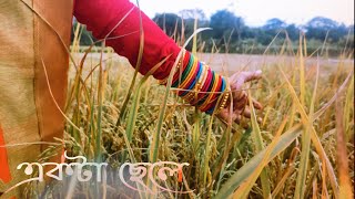 একটা ছেলে ||  Ekta chele || First Portrait Cinematography || Ekta chele by sahana